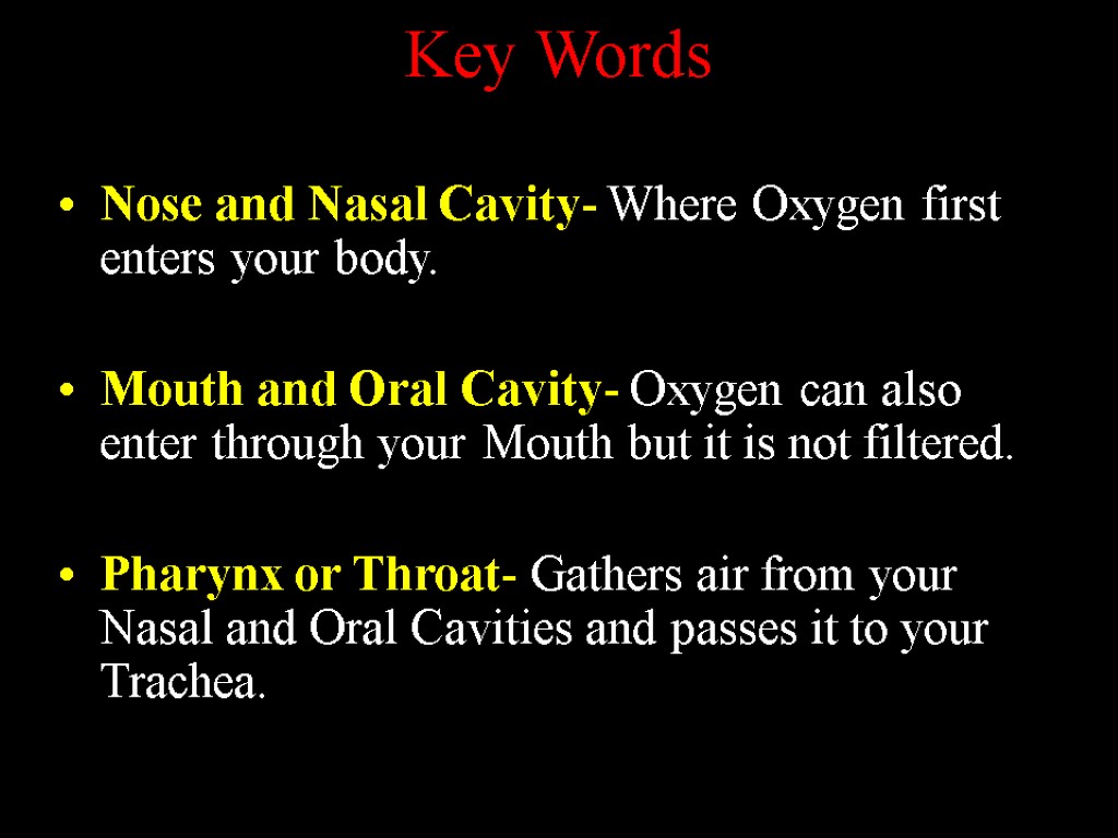 Key Words Nose and Nasal Cavity- Where Oxygen first enters your body. Mouth and